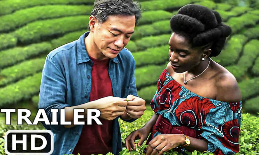 SinoAfrica on Screen: Documentaries, Feature Films and Short Films